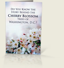 Cherry Blossoms Tract